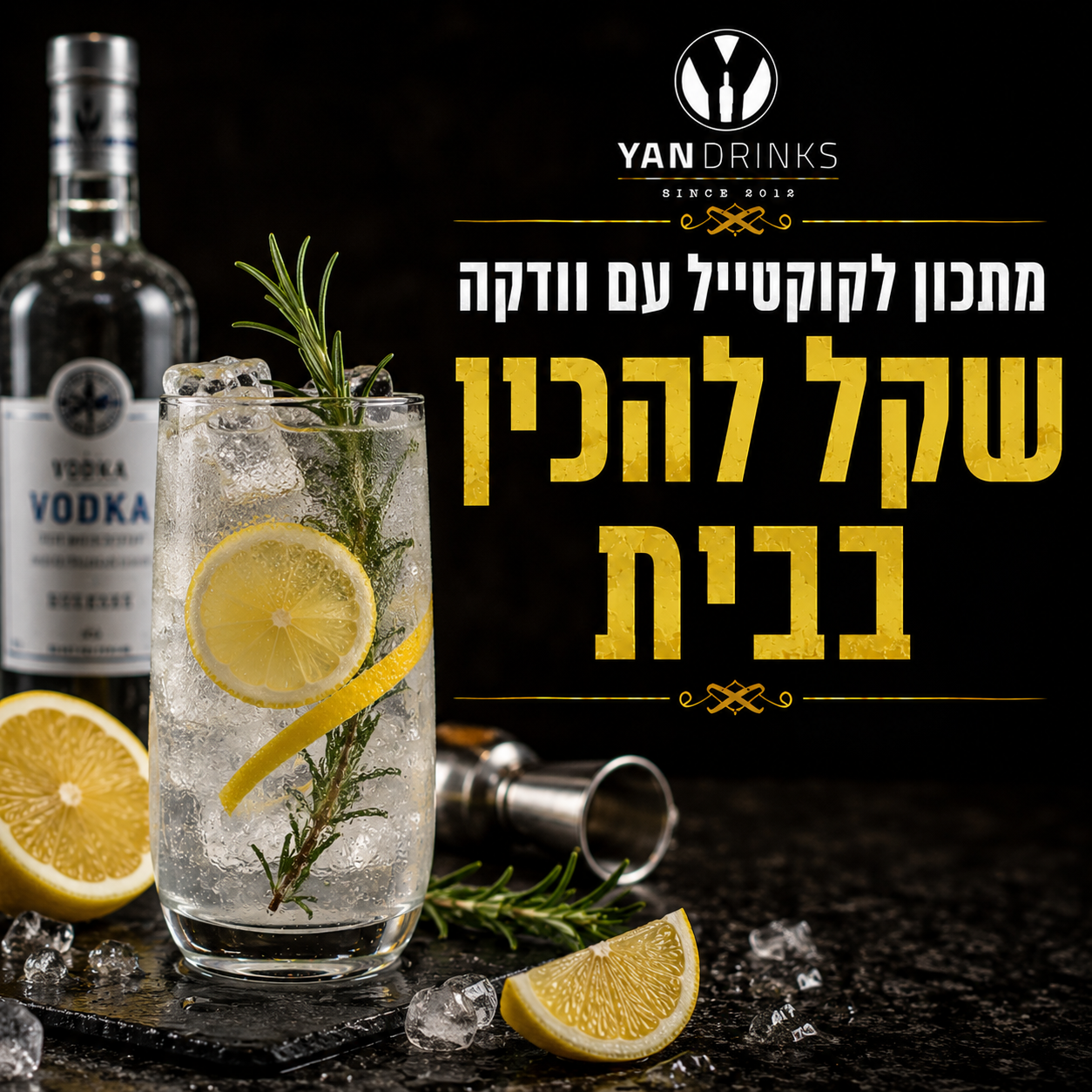 מתכון לקוקטייל עם וודקה שקל להכין בבית