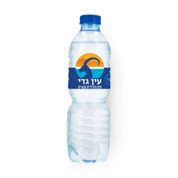 ארגז מים מינרלים עין גדי 500 מ"ל 24 יח'