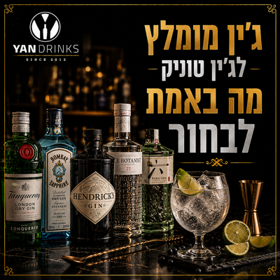 ג'ין מומלץ לג'ין טוניק - מה באמת לבחור