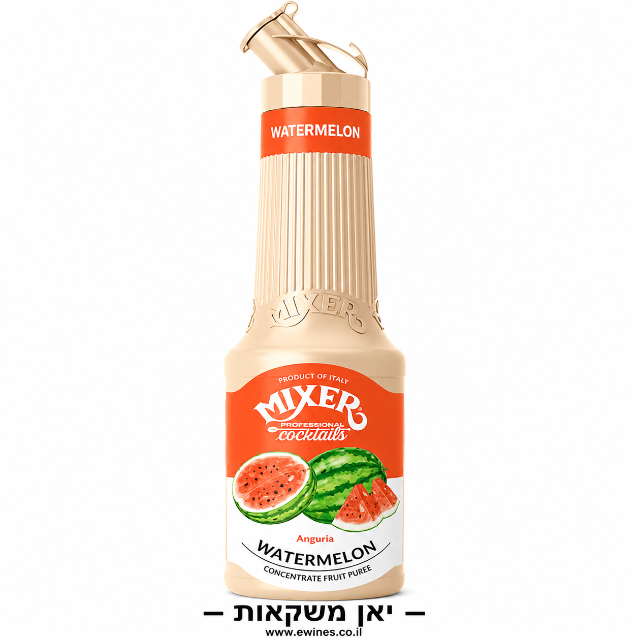 מיקסר מחית אבטיח 1 ליטר