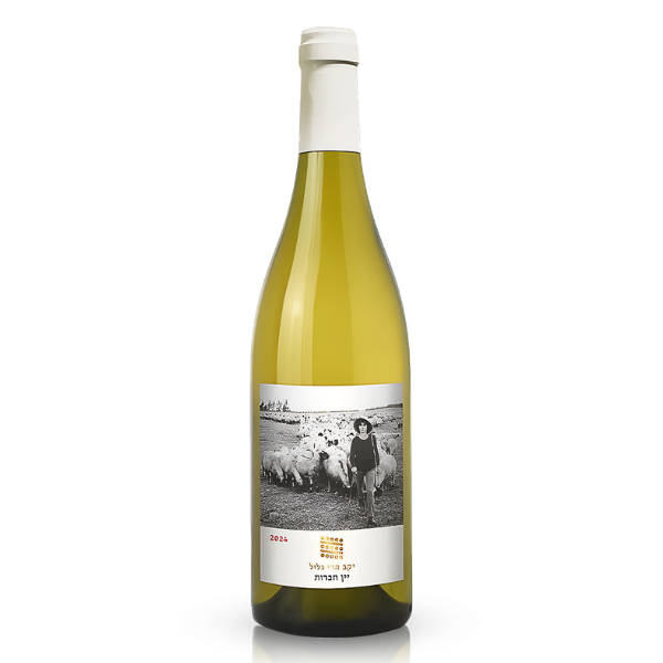 גליל חברות לבן 750 מ"ל