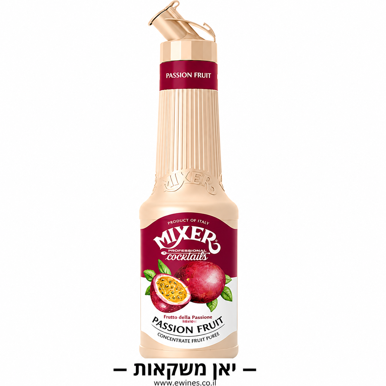 מיקסר מחית פסיפלורה 1 ליטר