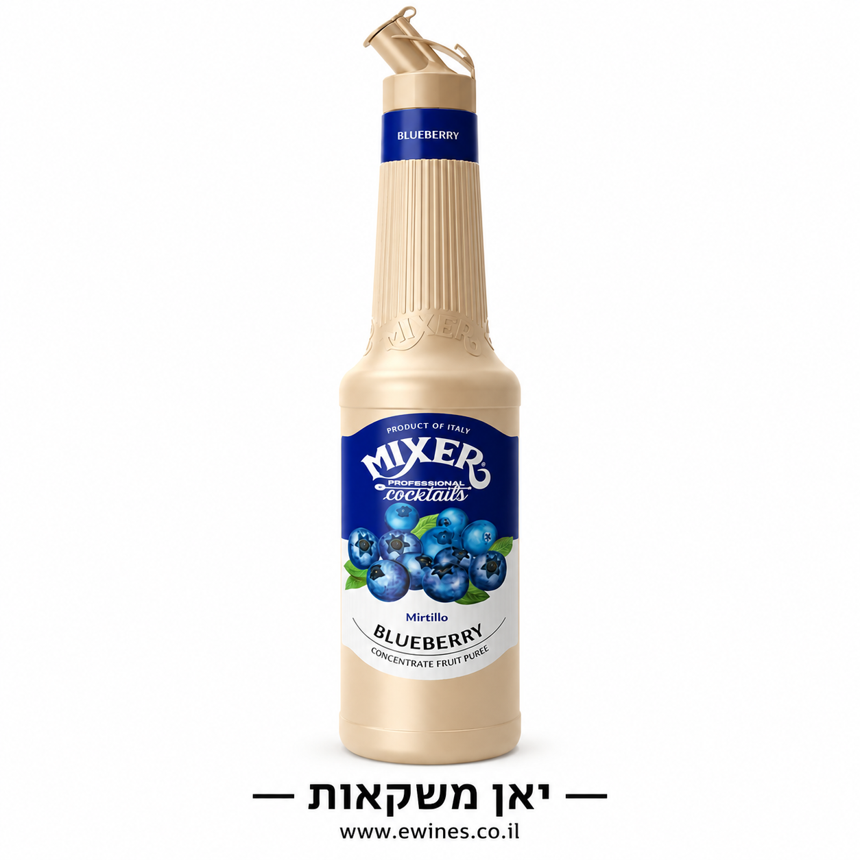 מיקסר מחית אוכמניות 1 ליטר