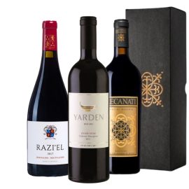 חבילת יינות מספר “דניאל” – רקנאטי ספיישל רזרב | ירדן קברנה סוביניון | רזיאל אדום